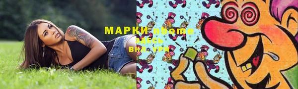 сатива Алексин